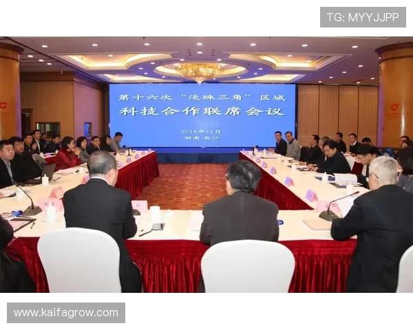 K8亚联娱乐平台的未来发展趋势与创新方向深度分析